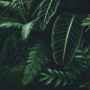 Meet your Posher, Mallory